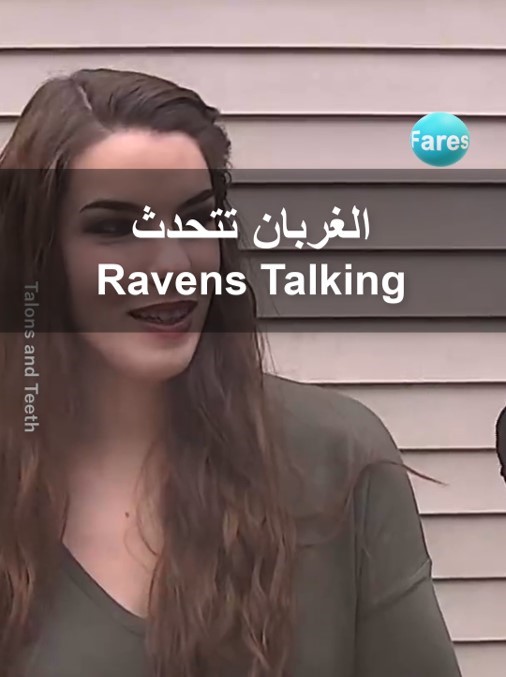 الغربان تتحدث