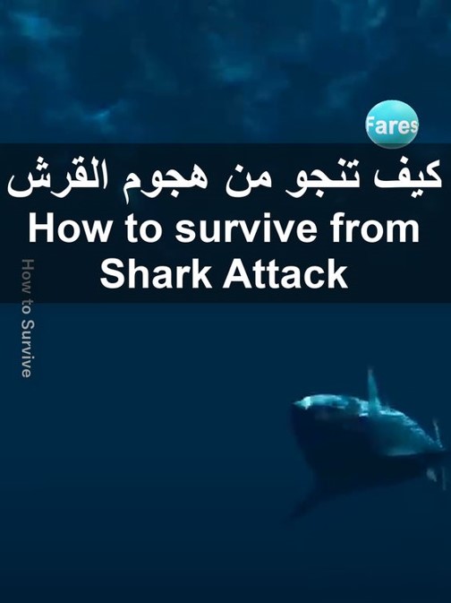 survive from Shark Attack