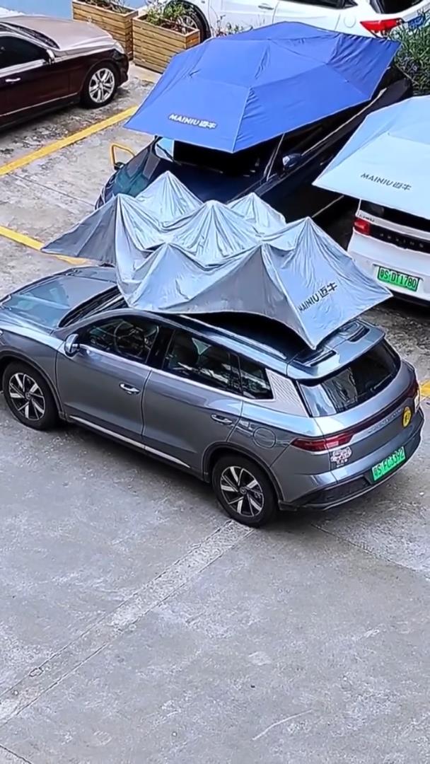 Remote Control Car Sunshade