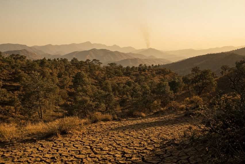 Algeria Wildfire Risk: Heat, Drought, and Mediterranean Forests