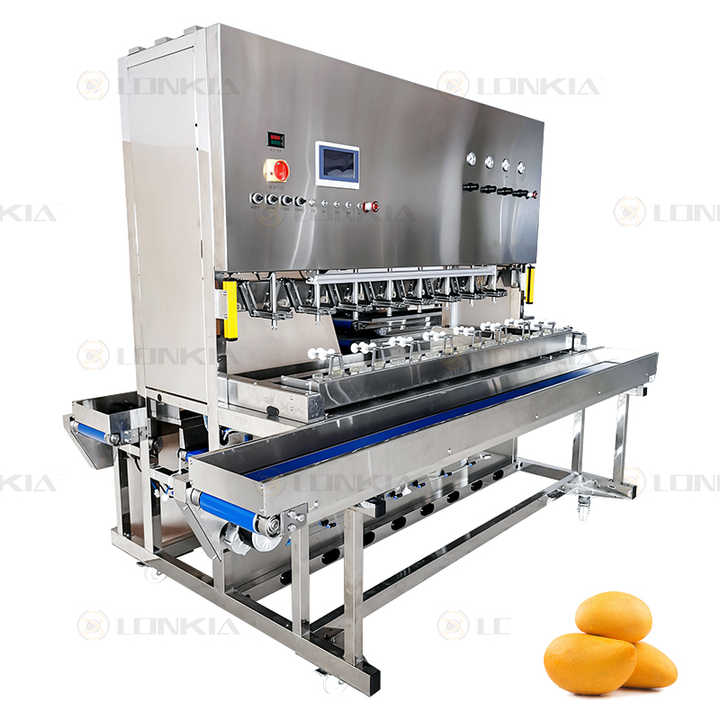 Peeling Machine Mango