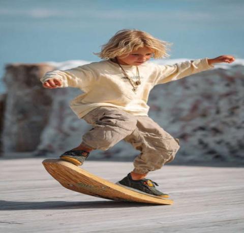 Balance Bounce Board