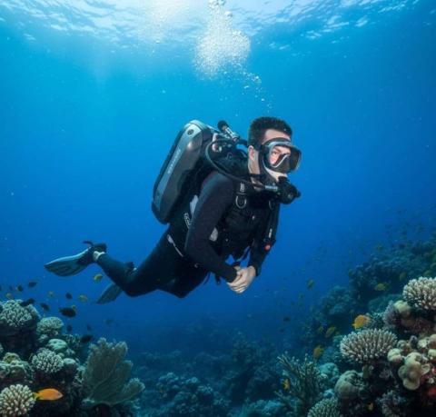 منظم غوص السكوبا