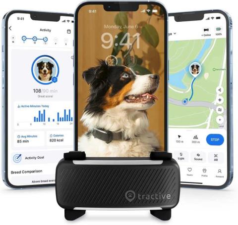 Dog GPS Tracker
