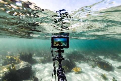 Underwater Fishing Cameras: See What Lies Beneath