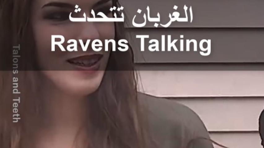 Ravens Talking