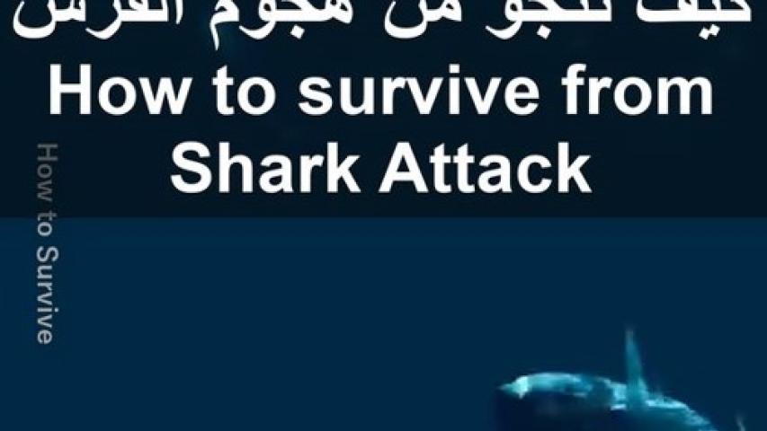 survive from Shark Attack