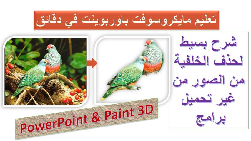 حذف خلفية الصور من غير تحميل برامج