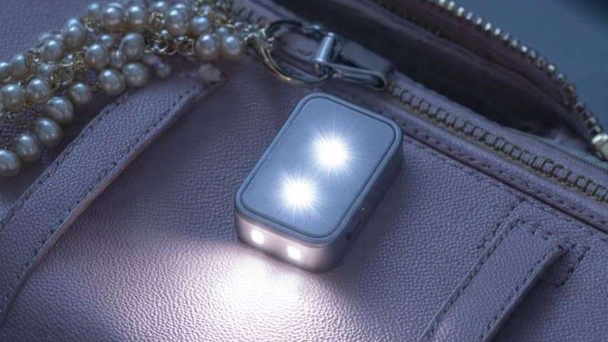 LED Purse Light