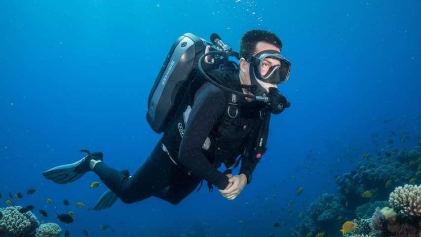 منظم غوص السكوبا