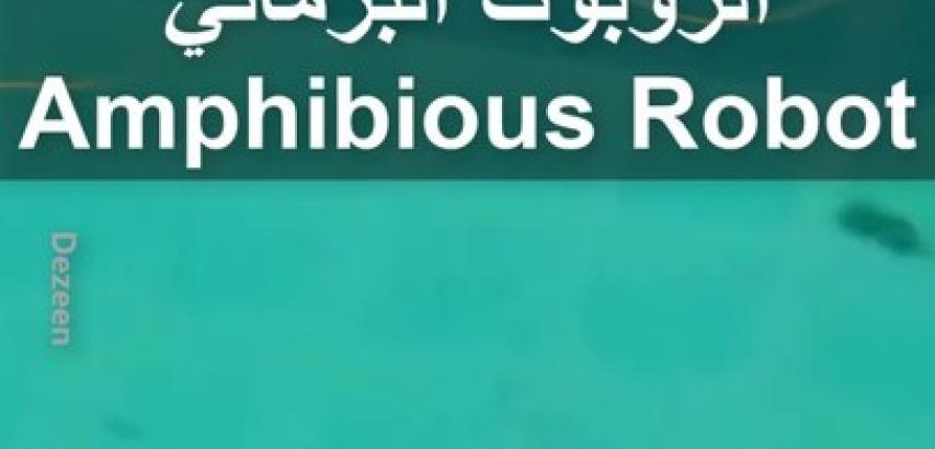 Amphibious Robot
