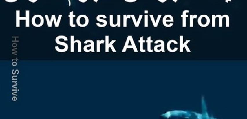 survive from Shark Attack
