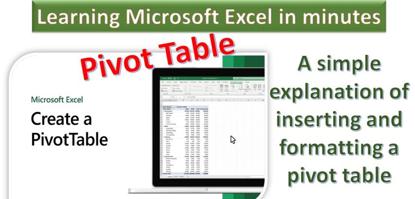 PivotTable in MS Excel